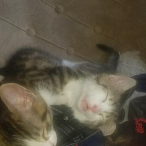 Маша Ушакова